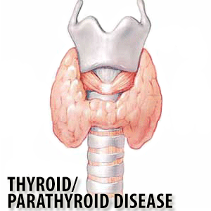 Thyroid/Parathyroid disease