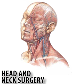 Head and Neck Surgery