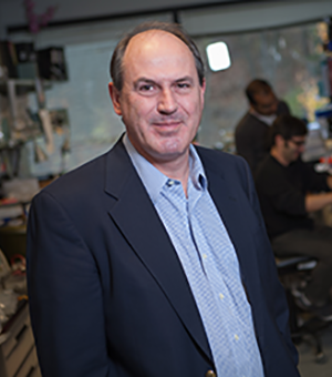 Roger Davis elected to National Academy of Sciences