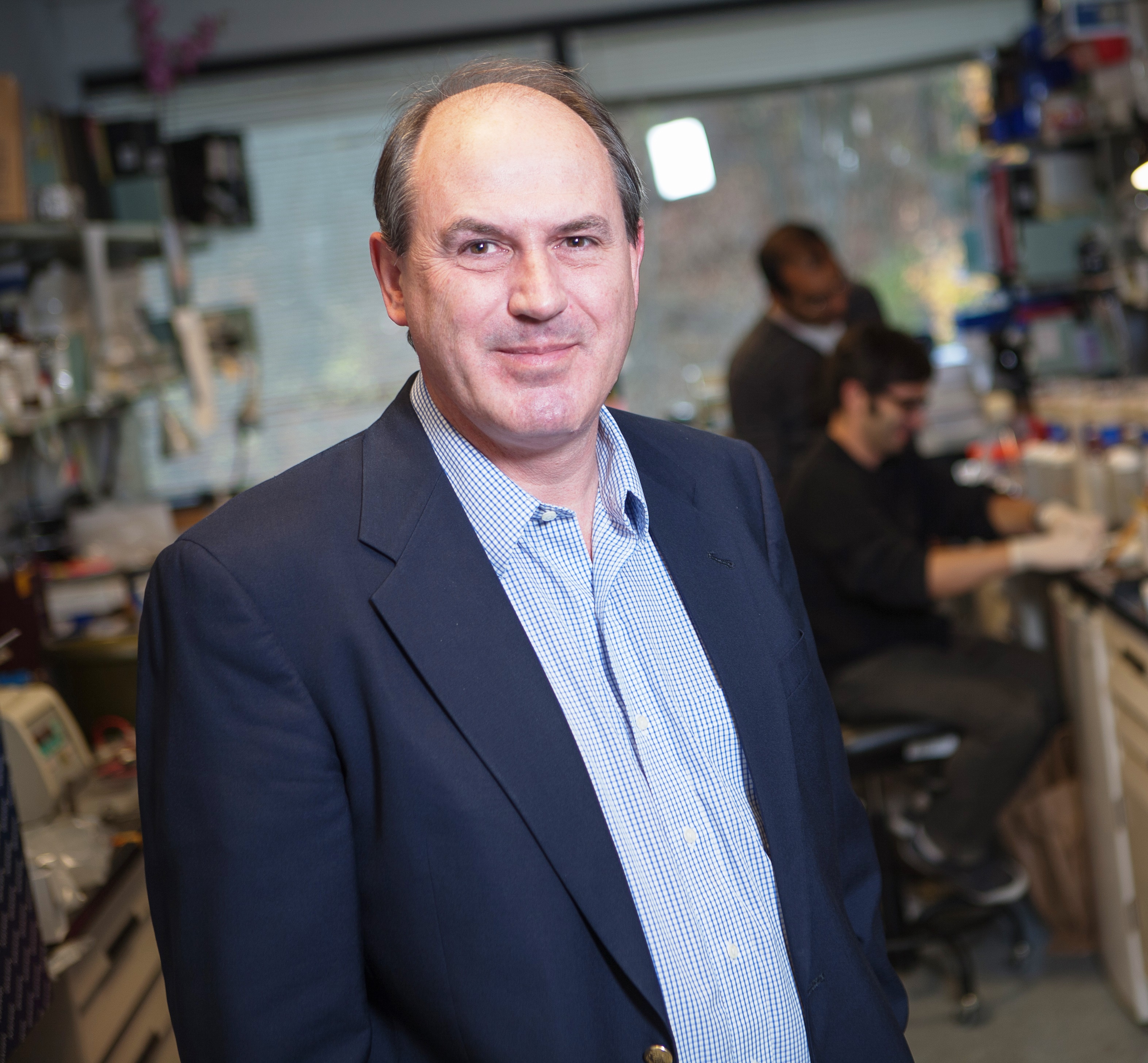 Roger J Davis, PhD, FRS elected to American Academy of Arts & Sciences