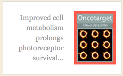 IRRF highlights Marina's research on Webpage