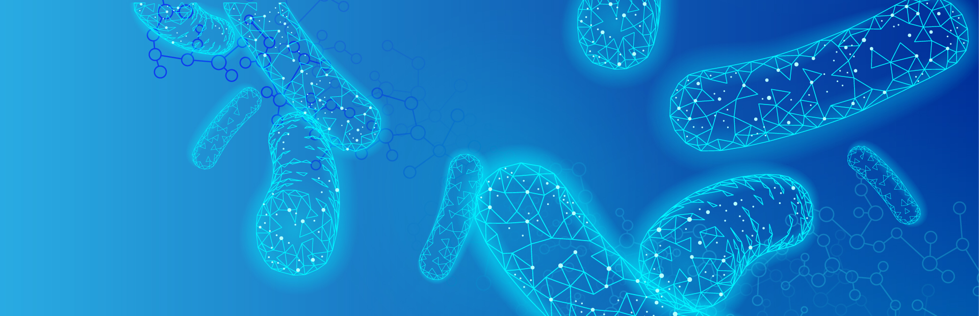 What is Chronic Granulomatous Disease?