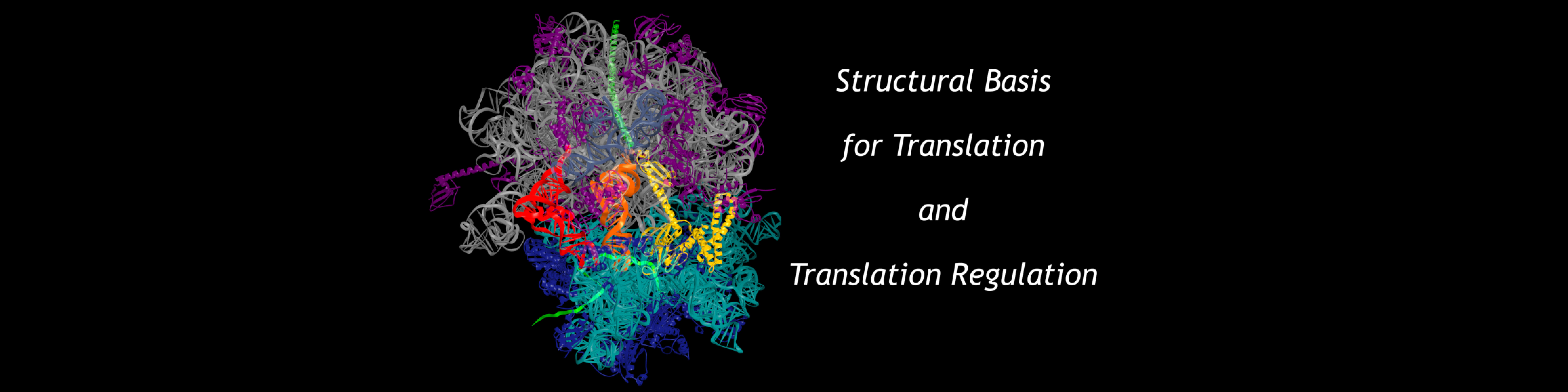 Korostelev HeroSlider.jpg