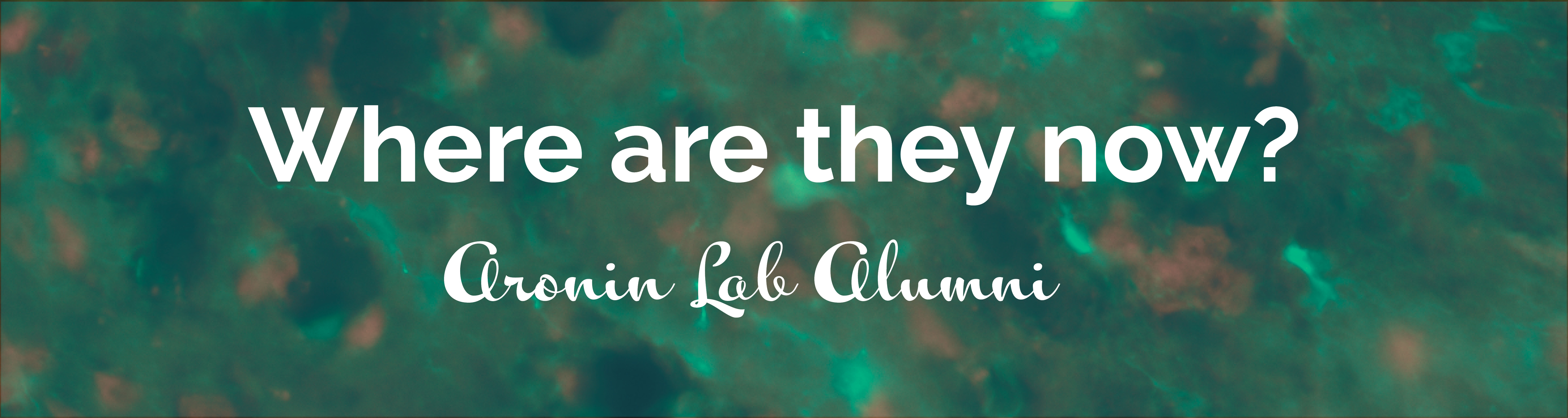 1500x400 Aronin Banner .jpg