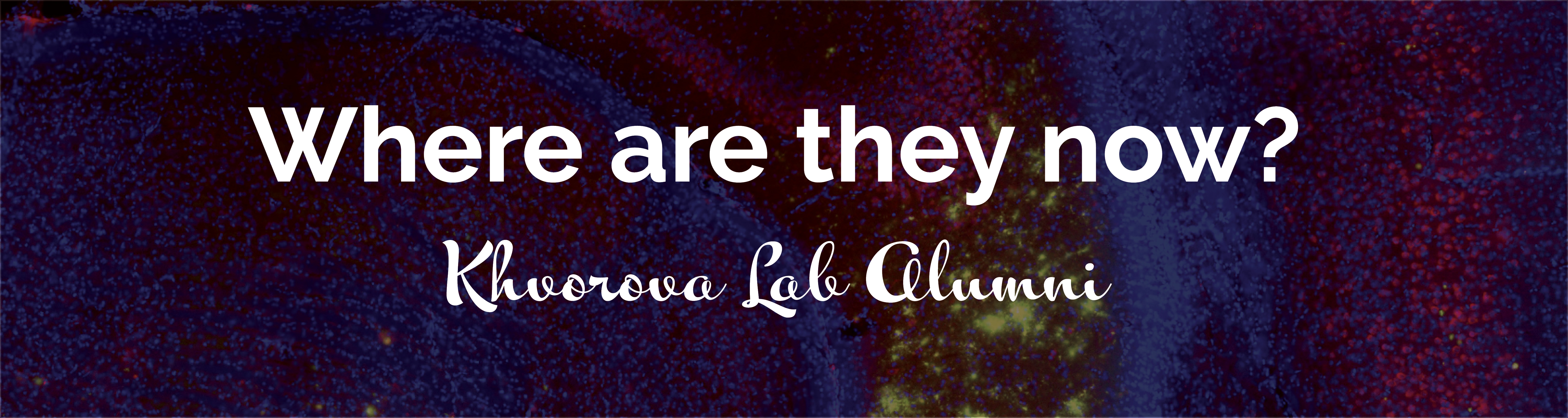1500x400 Khvorova Banner2.jpg