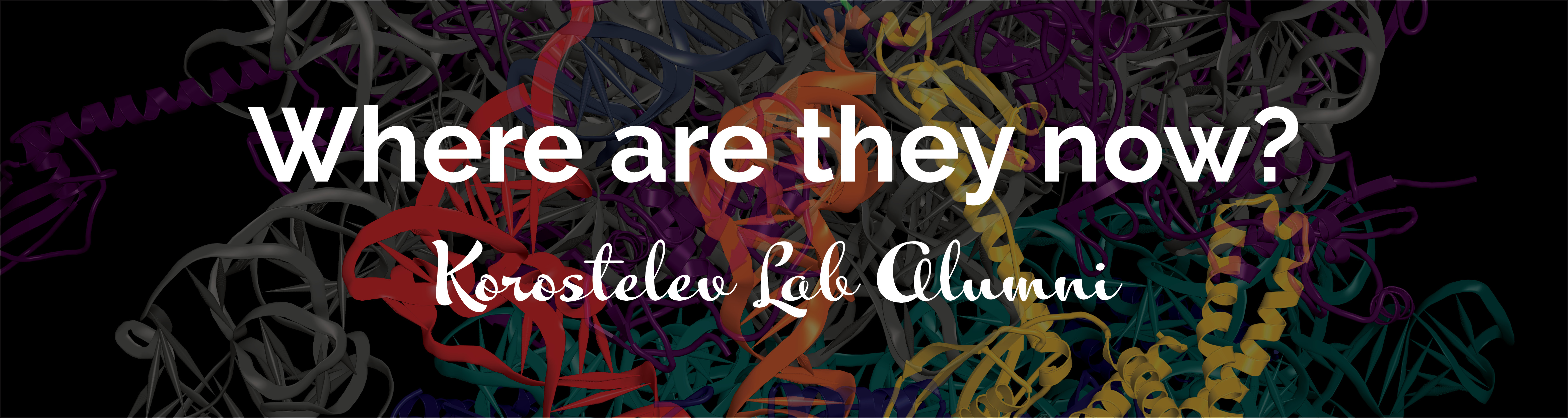 1500x400 Korostelev Banner .jpg