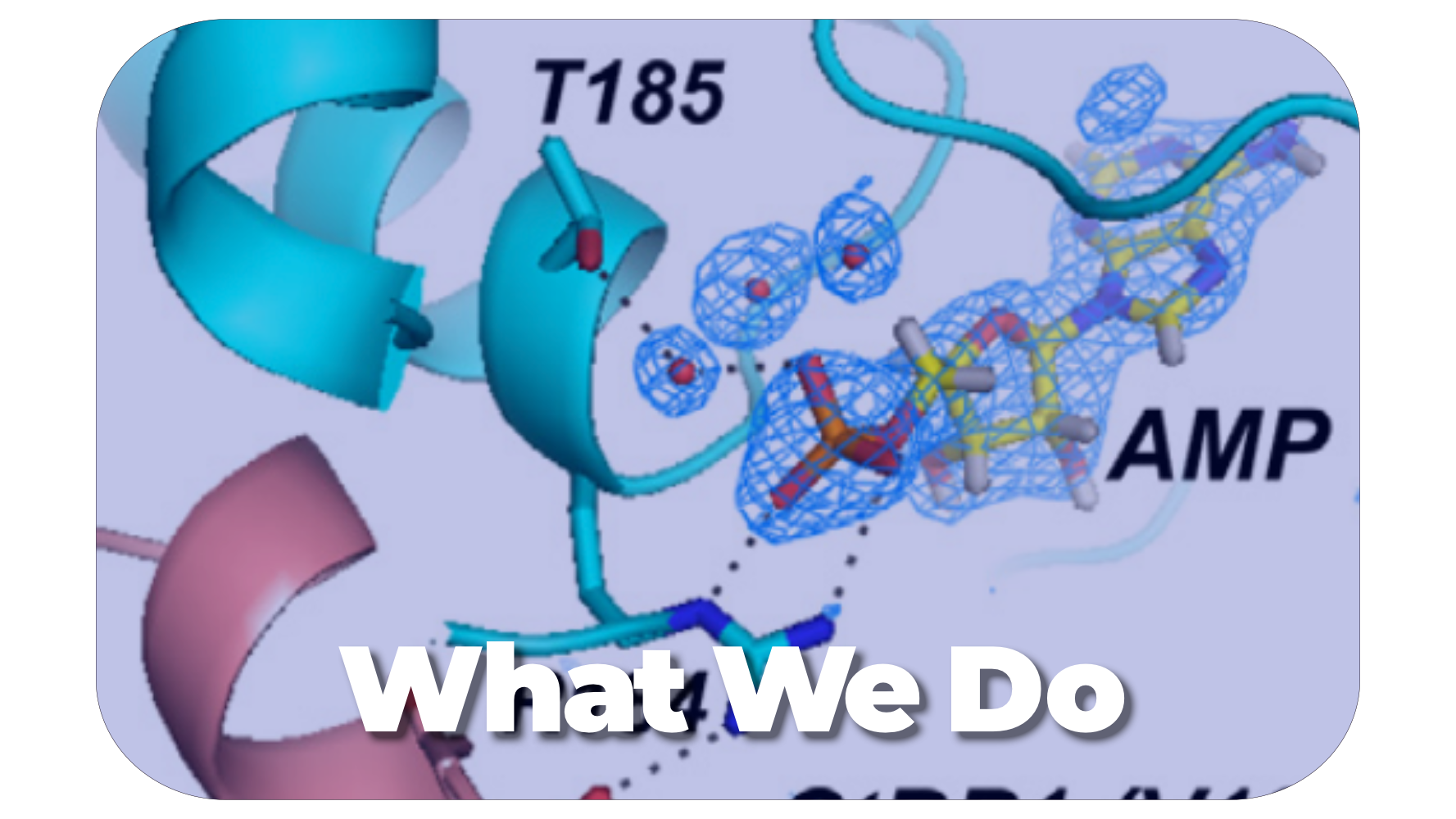  royer_What We Do.png