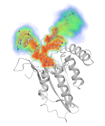 APOBEC3 bound to ssDNA APOBEC3 bound to ssDNA