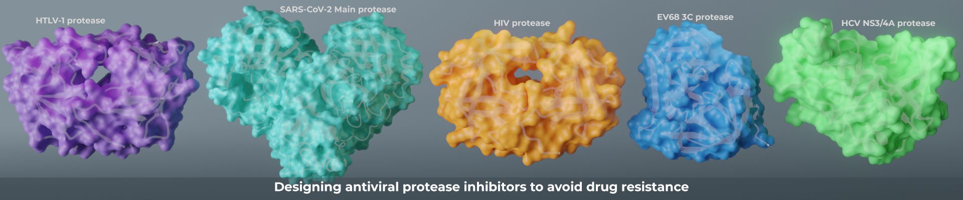 Antiviral protease.png