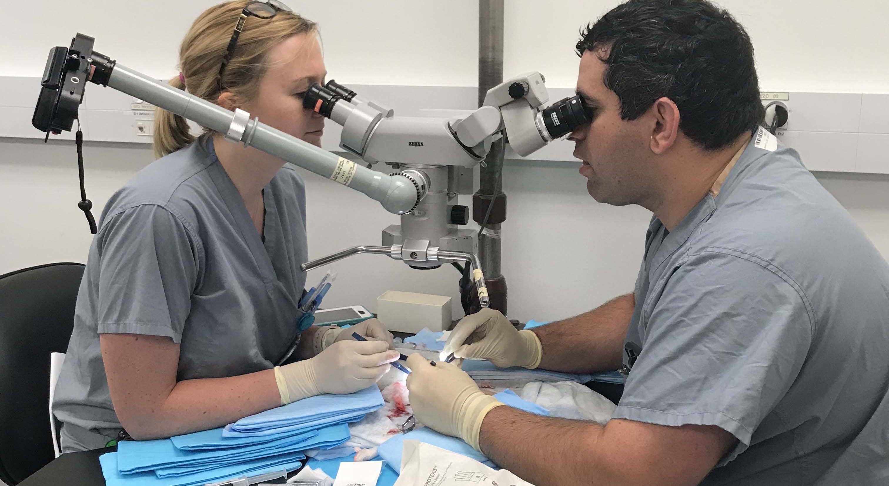 Microsurgery-slide-2019 .jpg