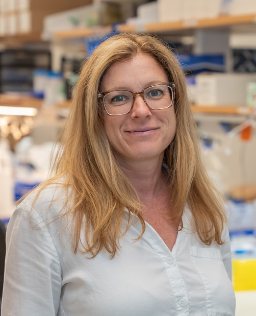 Heather Gray-Edwards, DVM, PhD