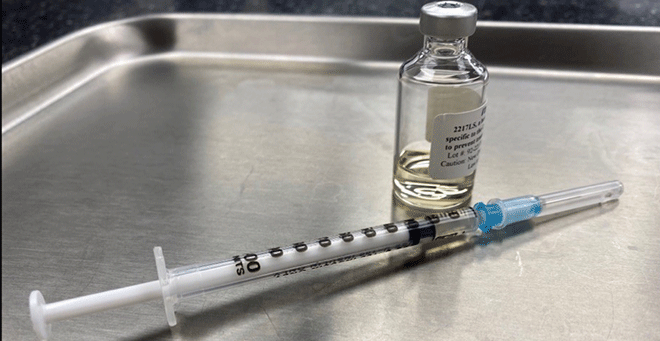 Preventative shot for Lyme disease, developed at UMass Medical School, enters clinical trial