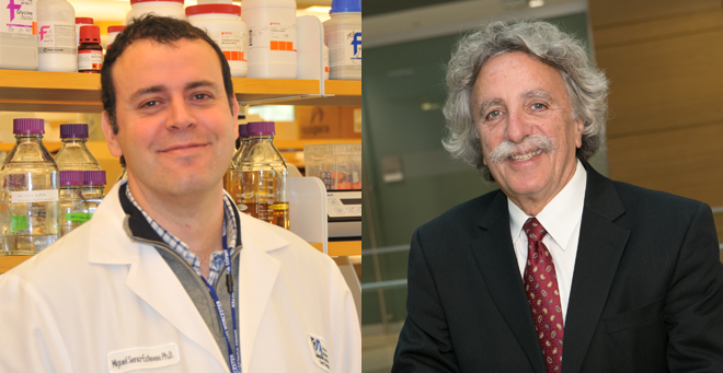 UMMS researchers receive funding from Gilbert Family Foundation to develop NF1 therapeutic