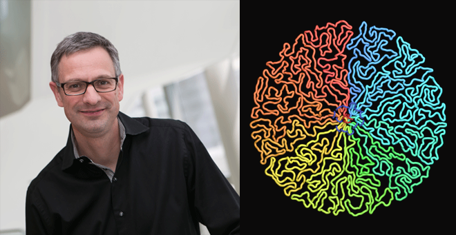 Study answers 100-year-old question about how chromosomes get their distinctive X-shape