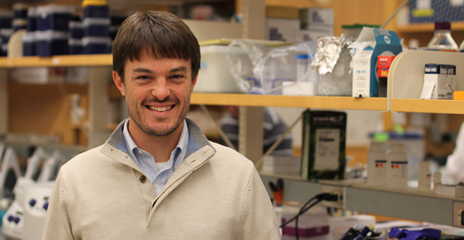 Read Pukkila-Worley investigates mechanisms that prevent infections before they take hold