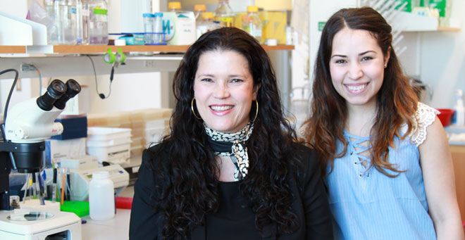Marian Walhout, PhD, and MD/PhD candidate Aurian Garcia Gonzalez