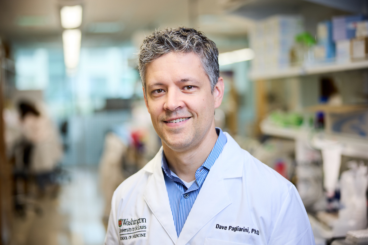 Getting to Know David Pagliarini, PhD