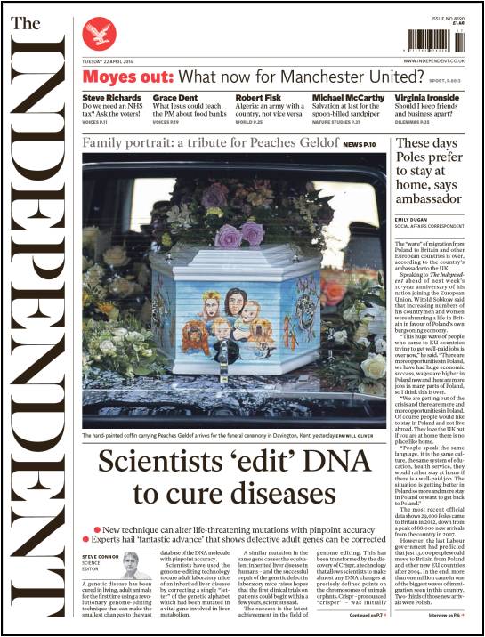 The Independant article