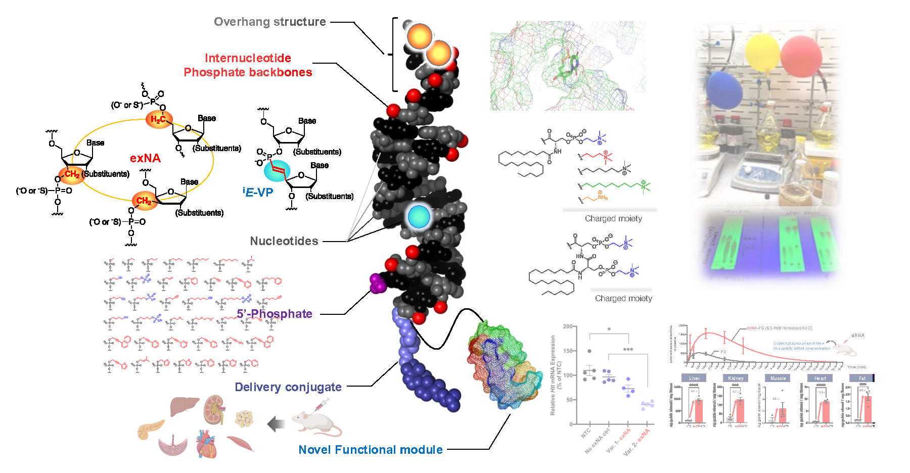 Research overview graphic of chemistry
