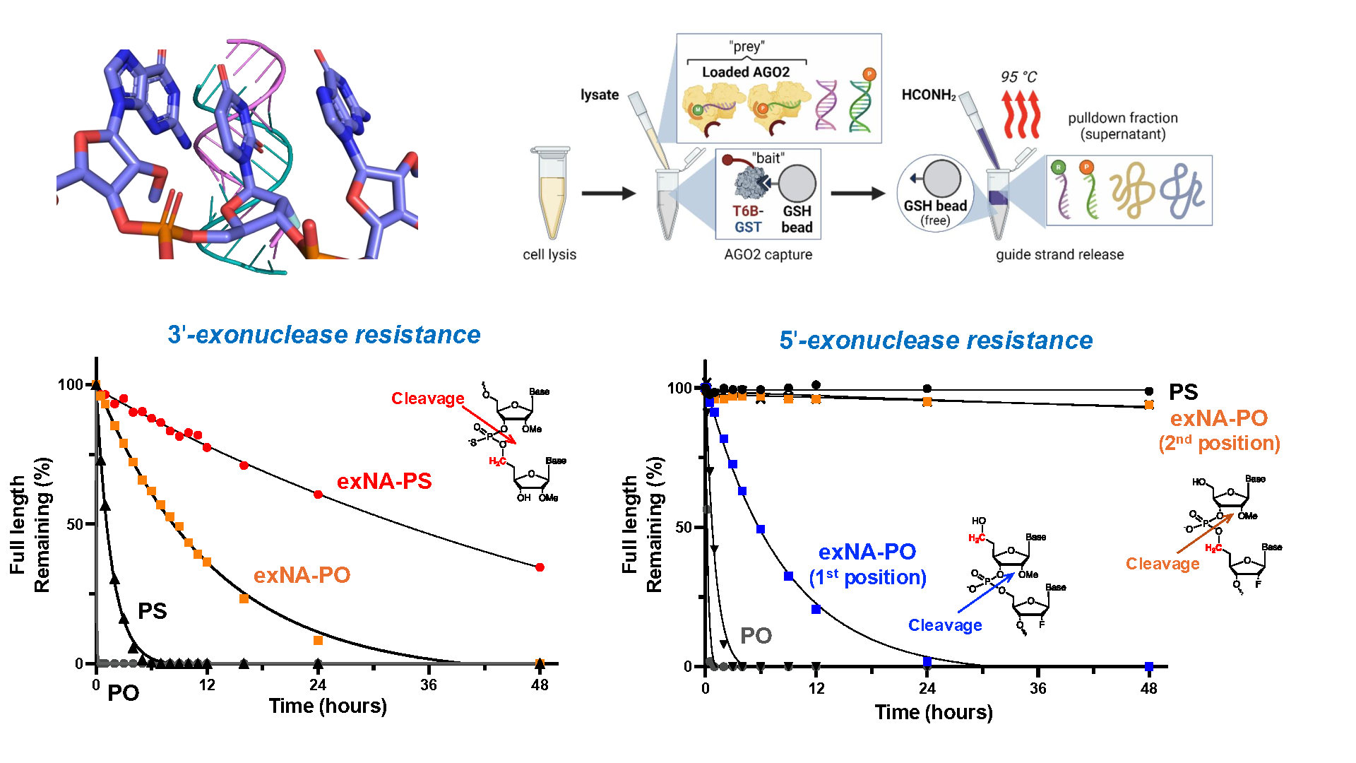 Overview graphic for basic research