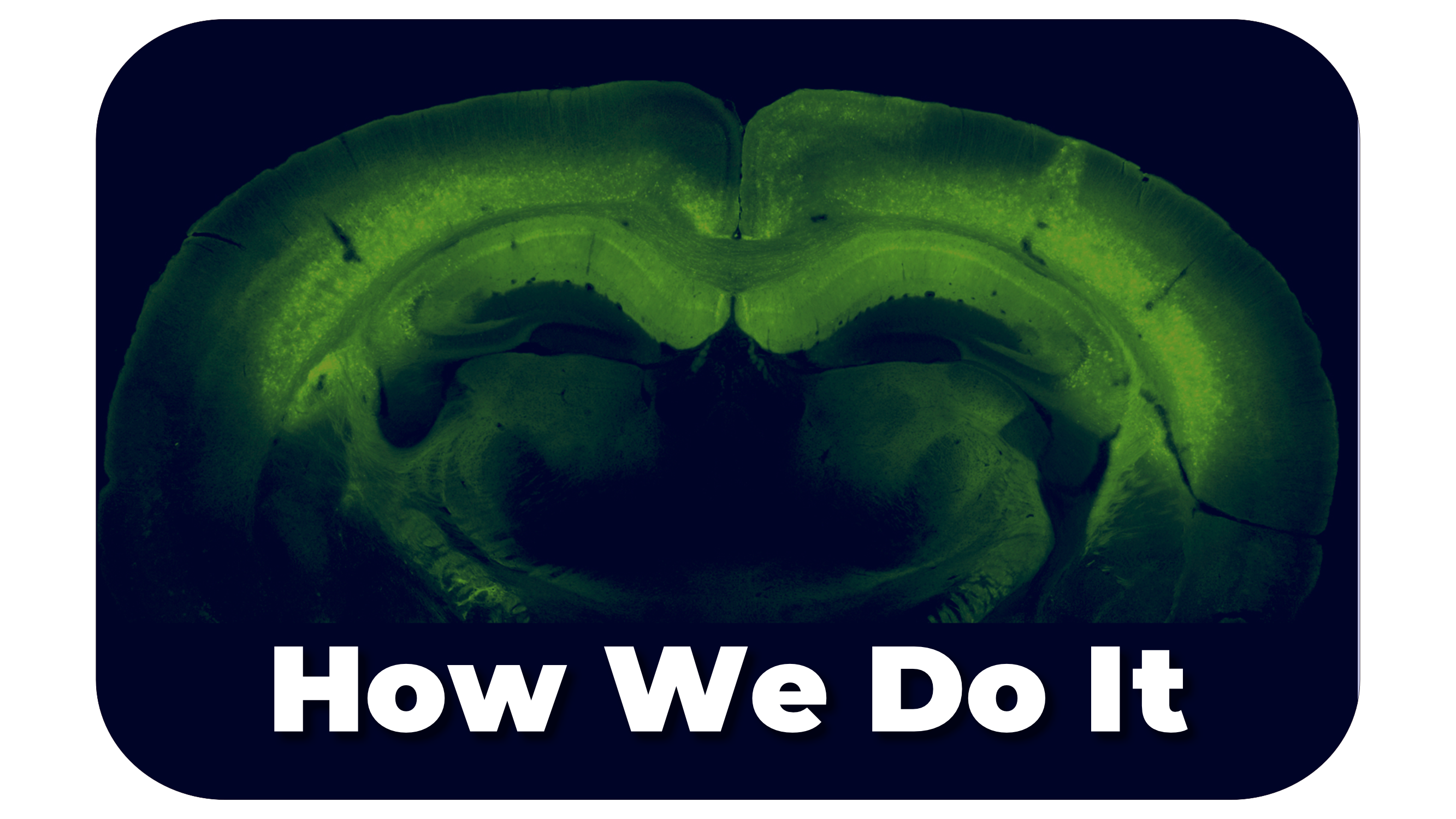  how we do it_zxu.png