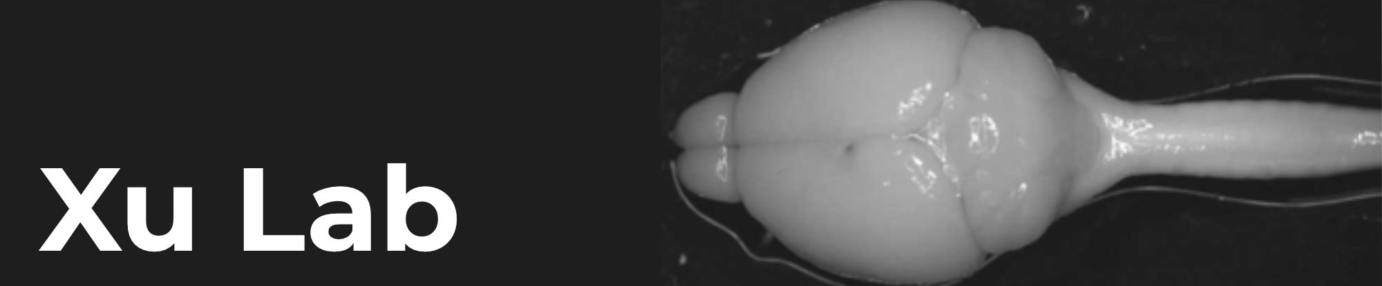 zxu_hero slider_research_2.png