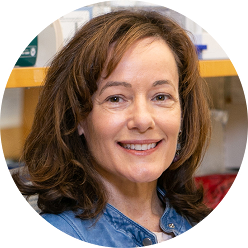 Headshot of Sharon Cantor